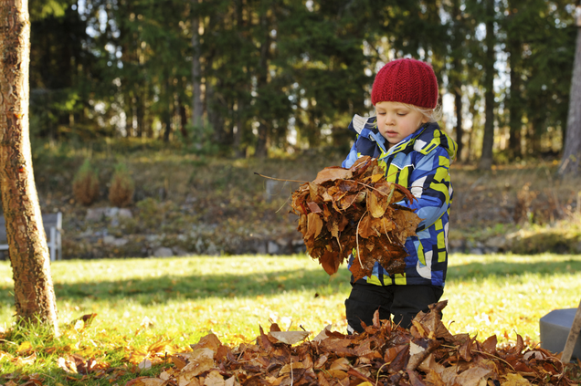 Illustration for article titled Heavy-Duty! 6 Giant Piles Of Leaves Raked Up By Real-Life People